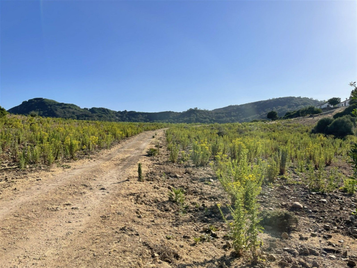 Villa de 3 chambres à Cadix, Espagne – Photo 5