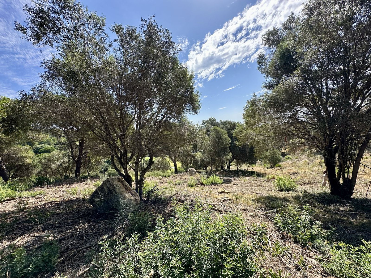 3,455 m² Plot in Sotogrande - Photo 3