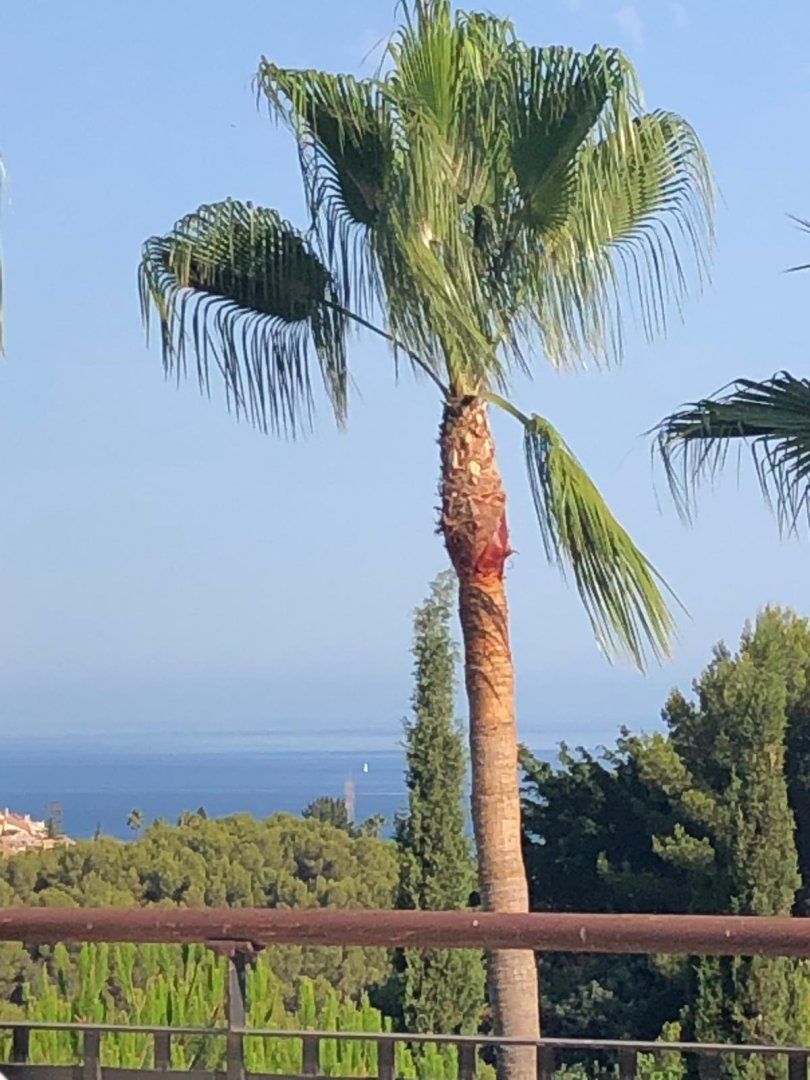 3 Bedroom Apartment in Marbella - Photo 2