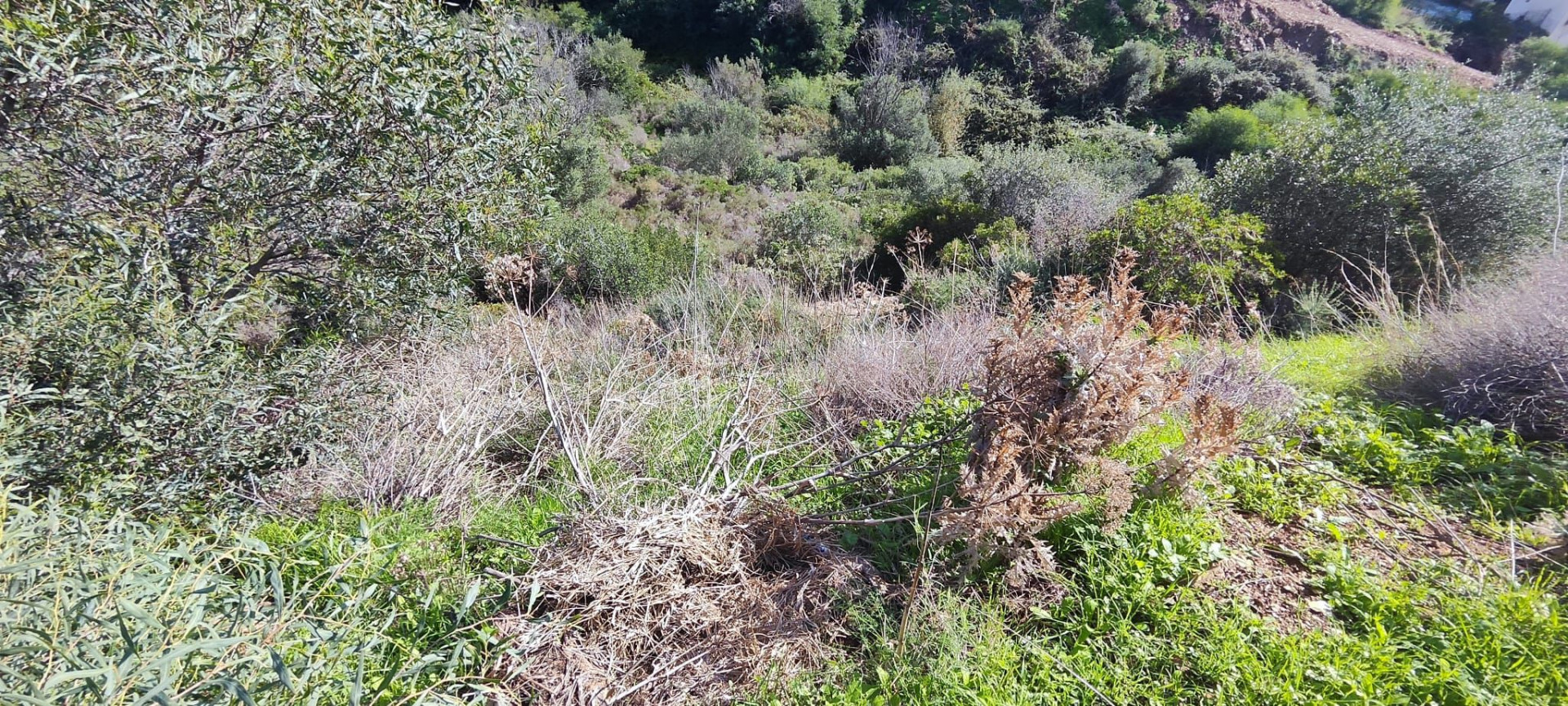 1,480 m² Plot in Marbella - Photo 10