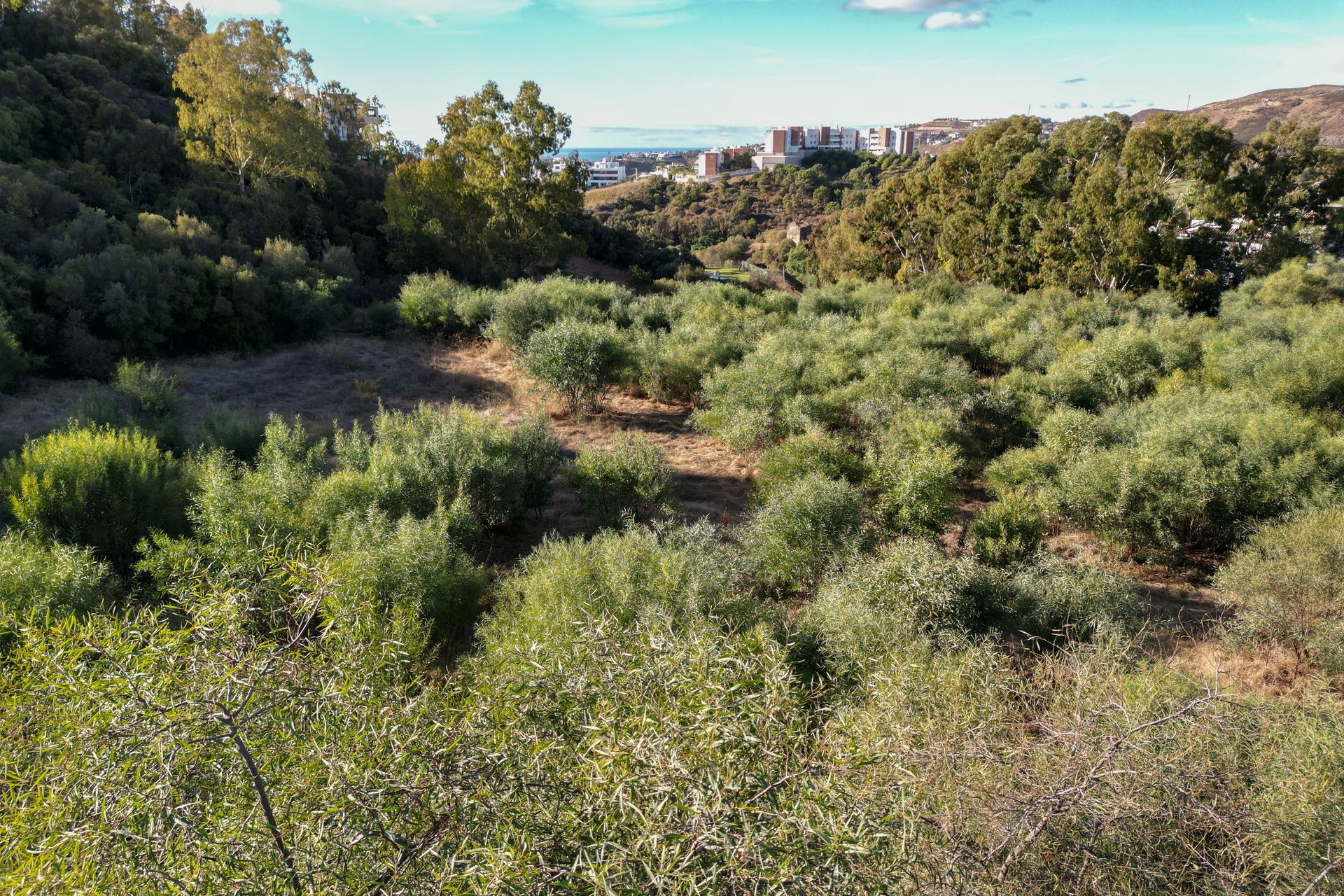 5,185 m² Plot in Benahavís - Photo 5