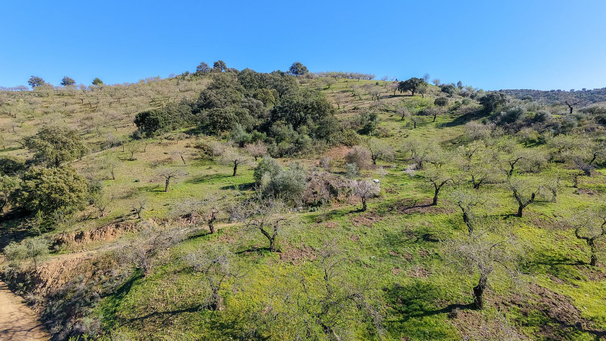 116,511 m² Plot in Málaga