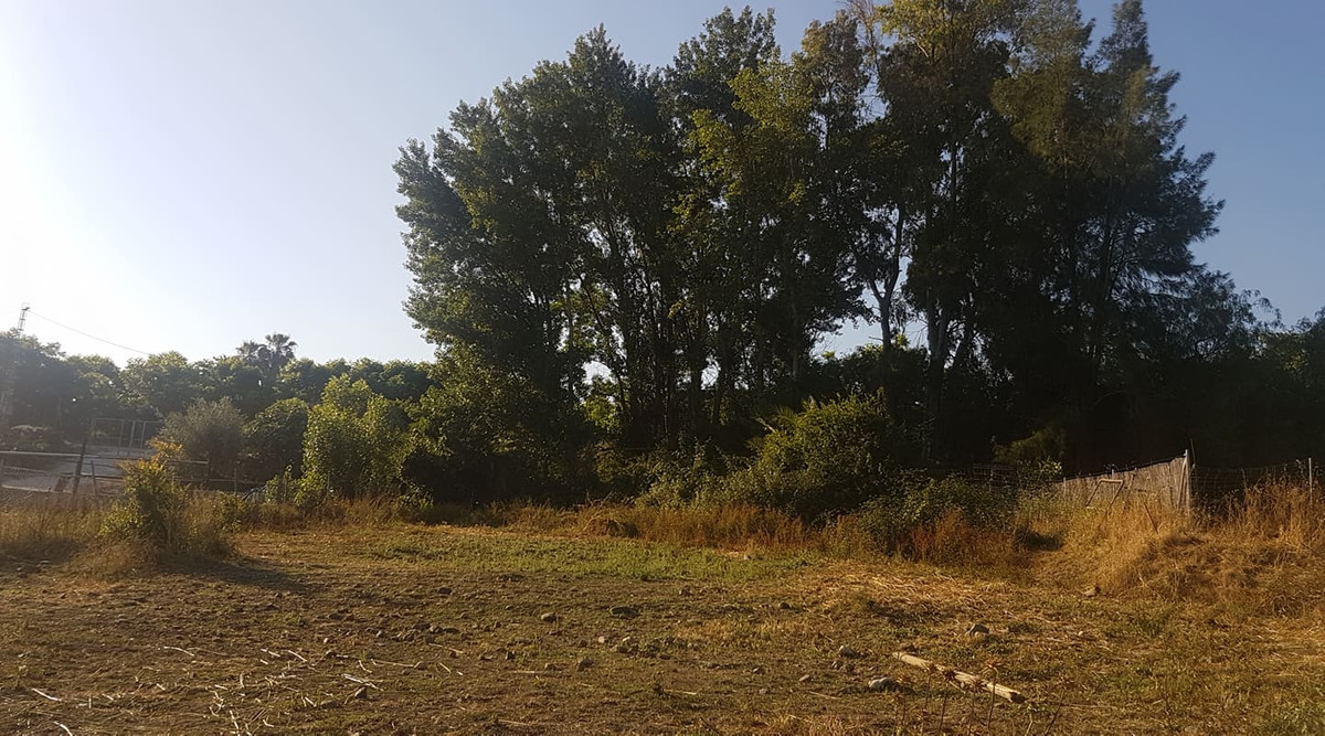 2,900 m² Plot in Coín - Photo 2