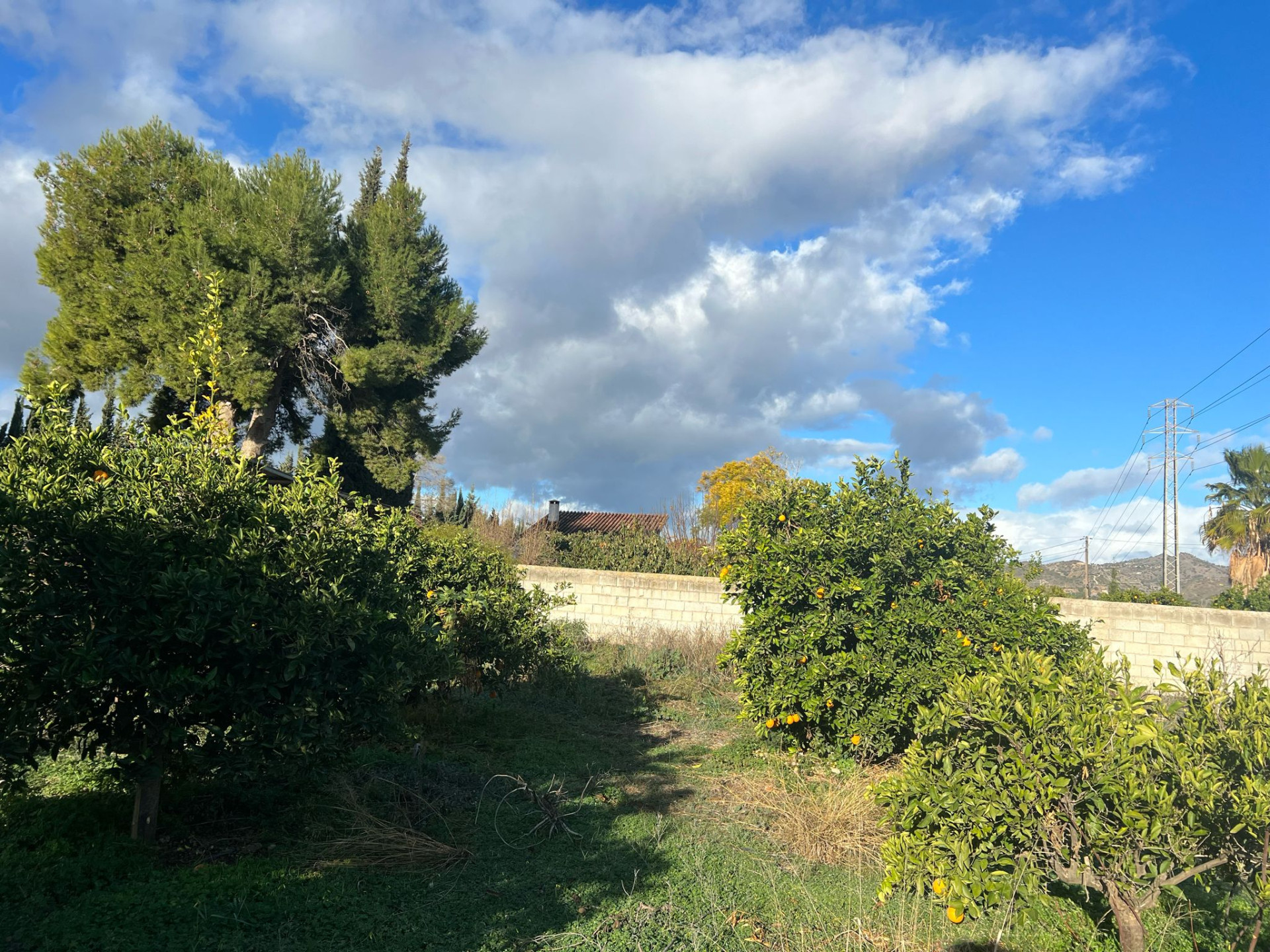 3 Bedroom Country house in Alhaurín de la Torre - Photo 12