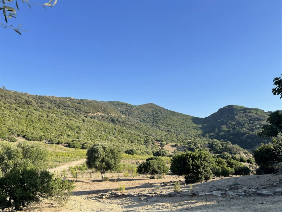 Villa de 3 chambres à Cadix, Espagne – Photo 4