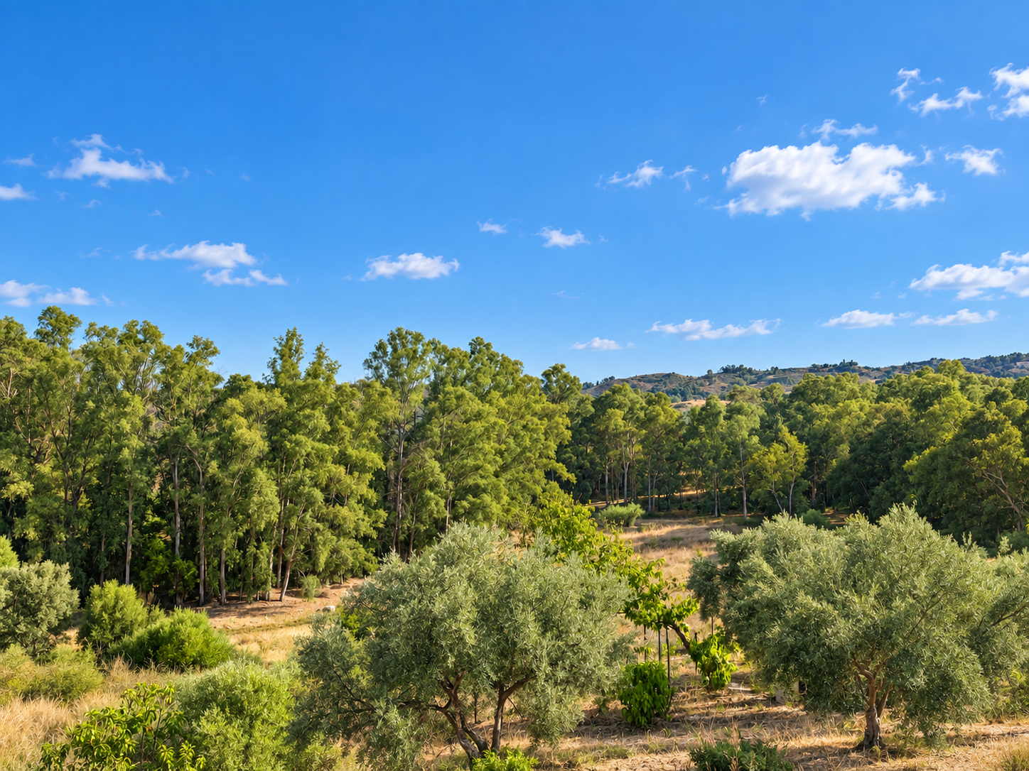 3 Bedroom Villa in Mijas - Photo 13