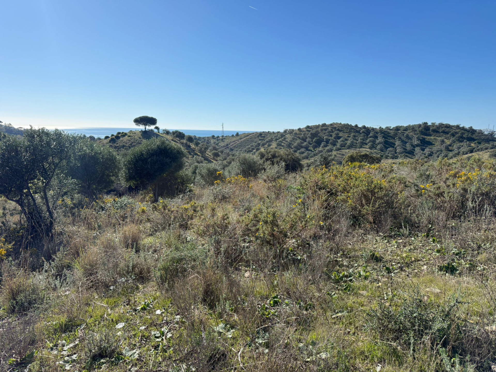 90,882 m² Plot in Mijas - Photo 11