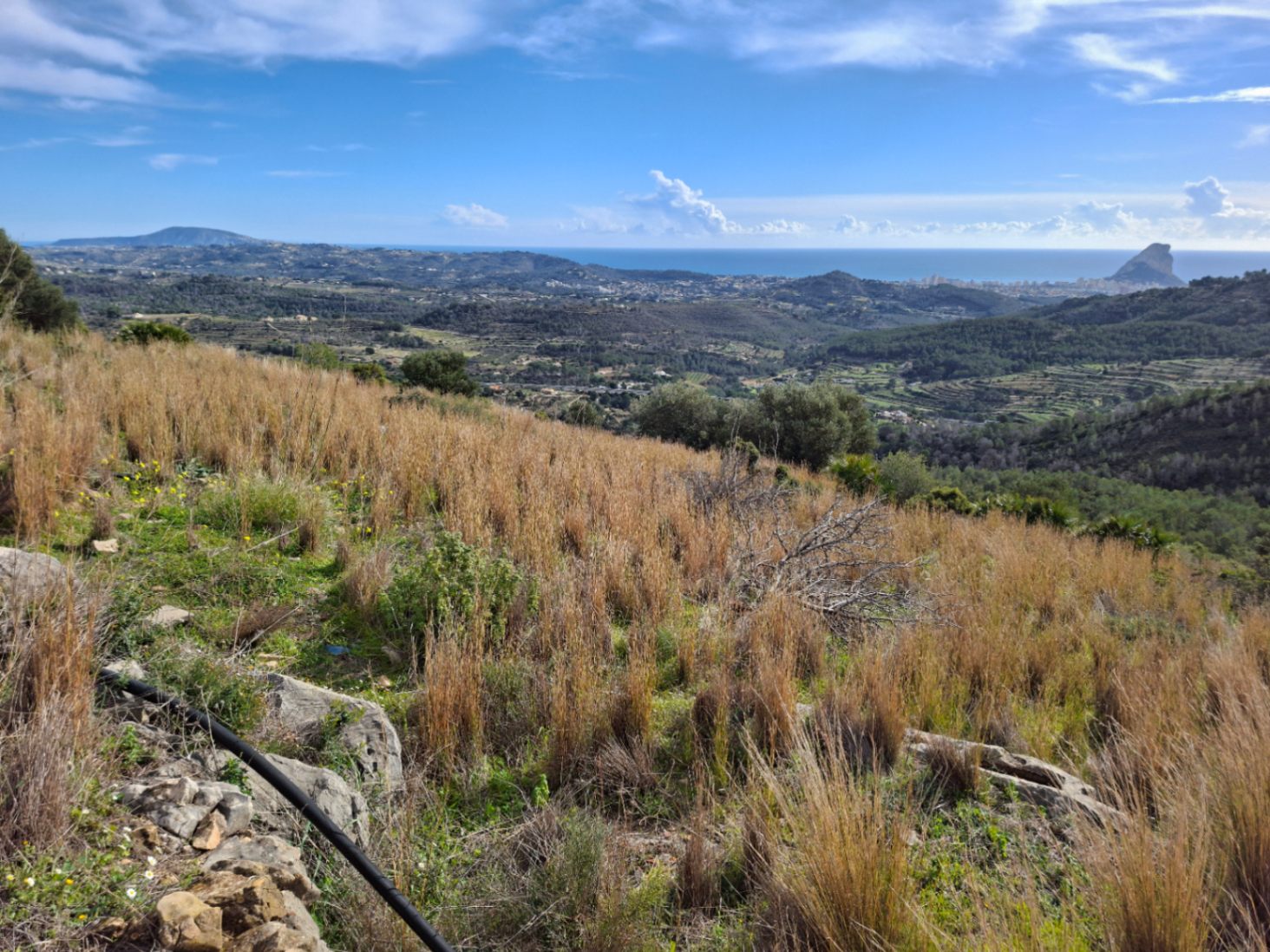 Moradia com 8 quartos em Alicante, Espanha – Foto 16