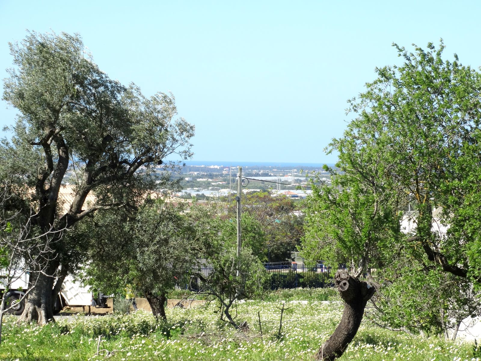 Plot in Faro