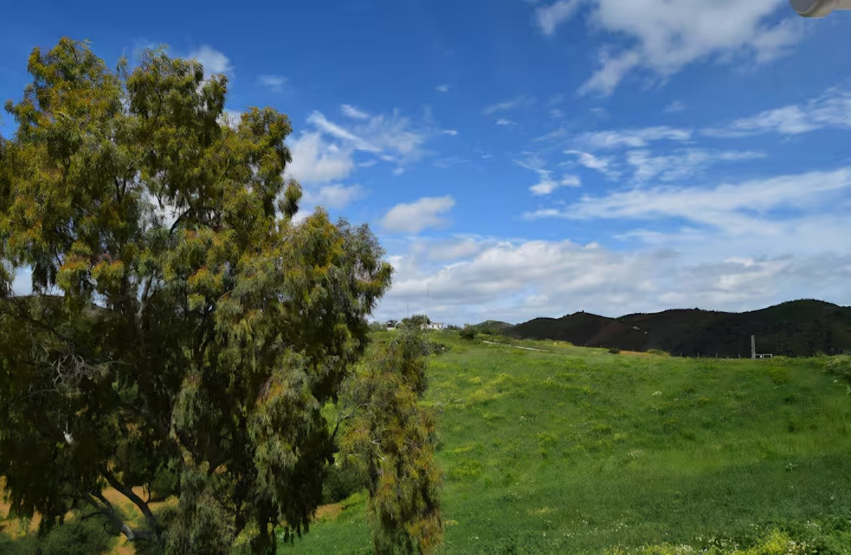 5 Bedroom Country house in Pizarra - Photo 28