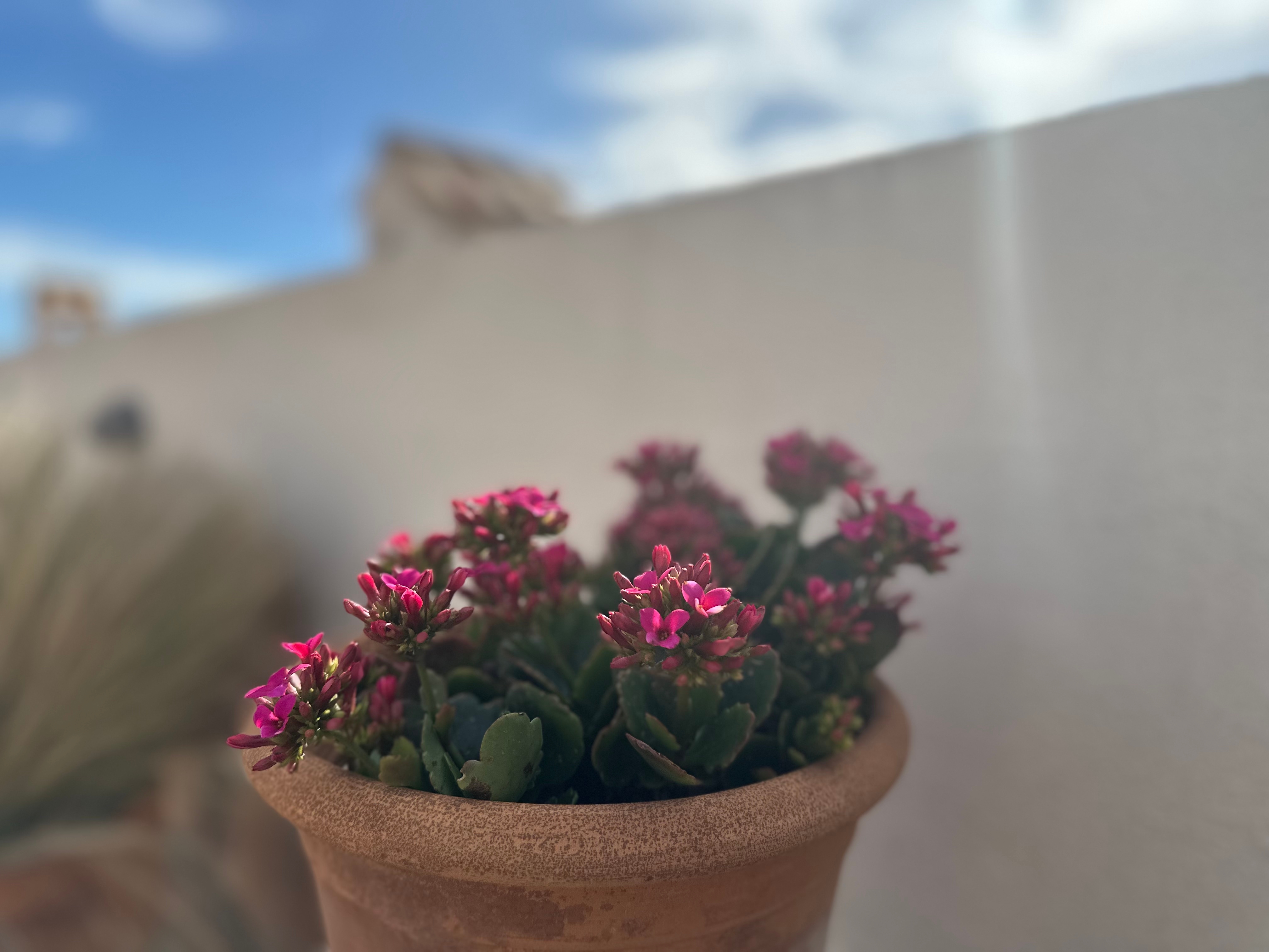 Apartamento com 3 quartos com piscina em Baleares, Espanha – Foto 24