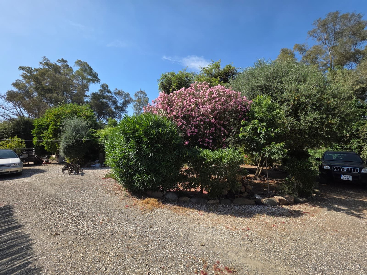 4 Bedroom Country house in Guaro - Photo 20