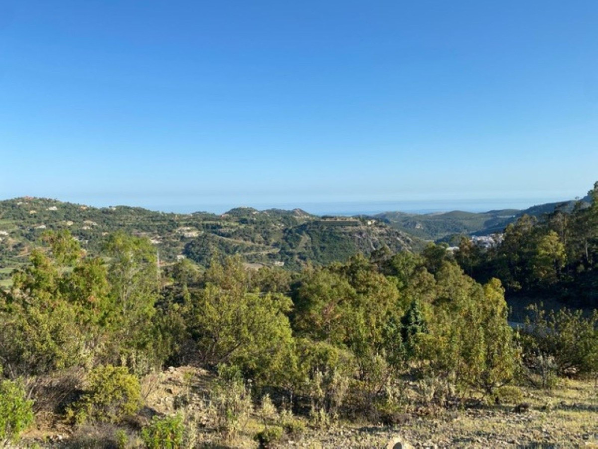 12,563 m² Plot in Benahavís - Photo 17