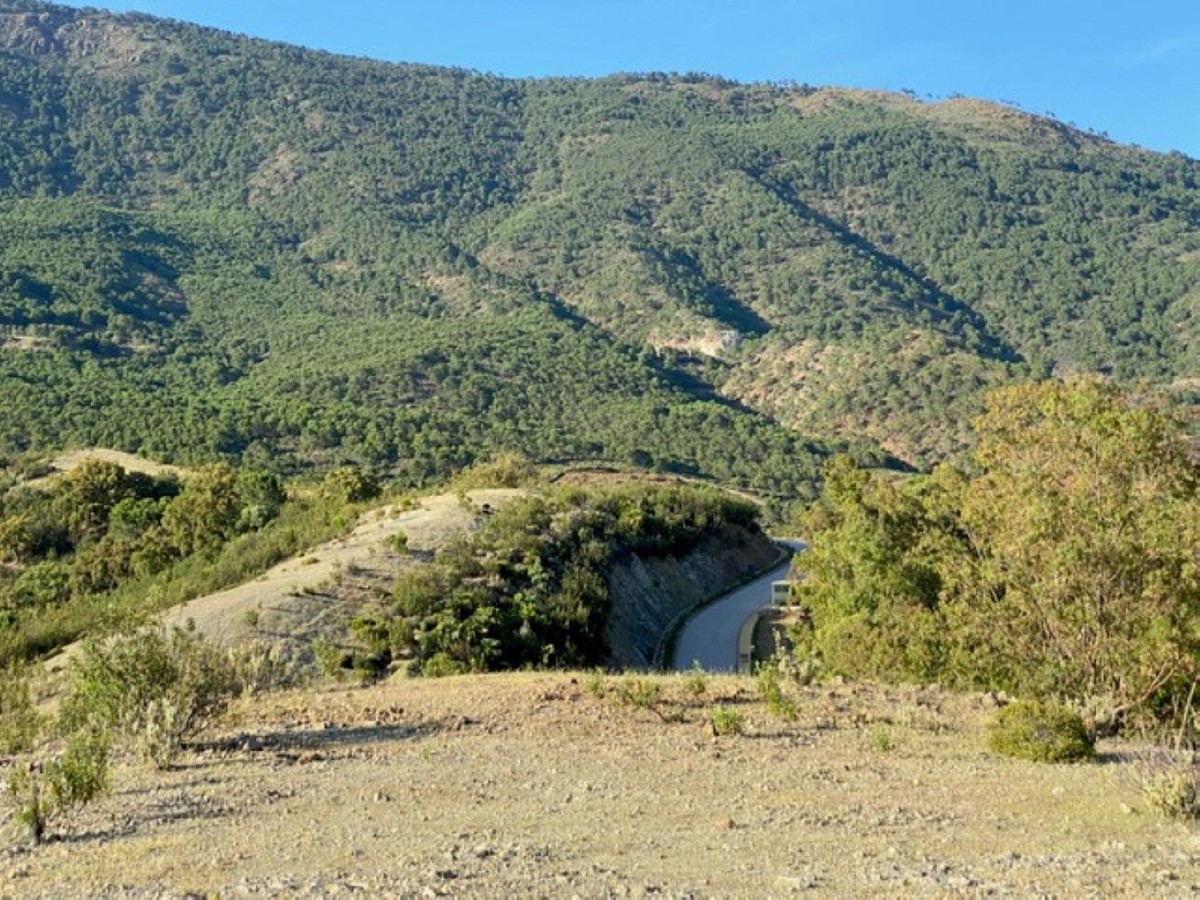 12,563 m² Plot in Benahavís - Photo 6