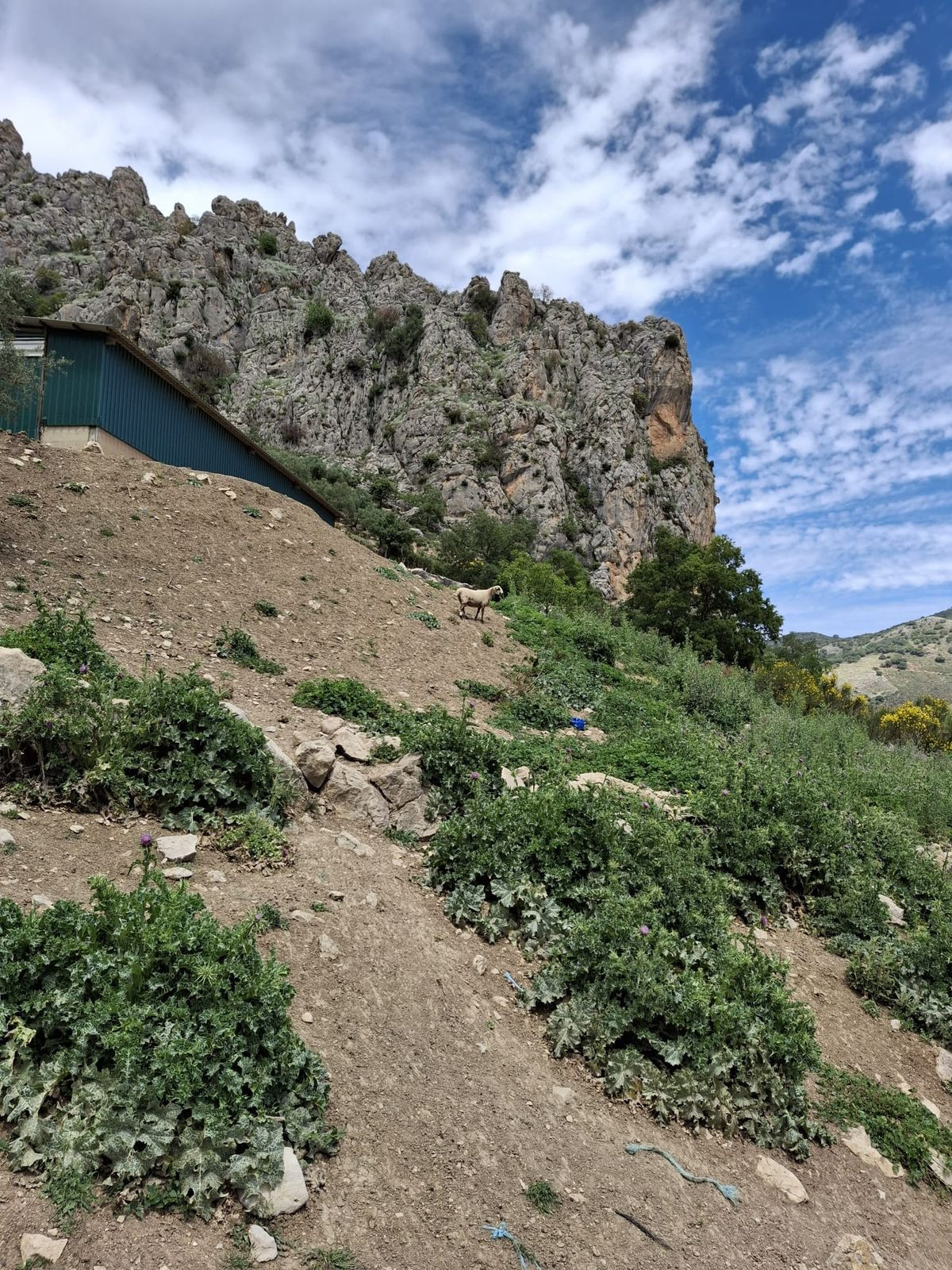 680,000 m² Plot in Alfarnatejo - Photo 14