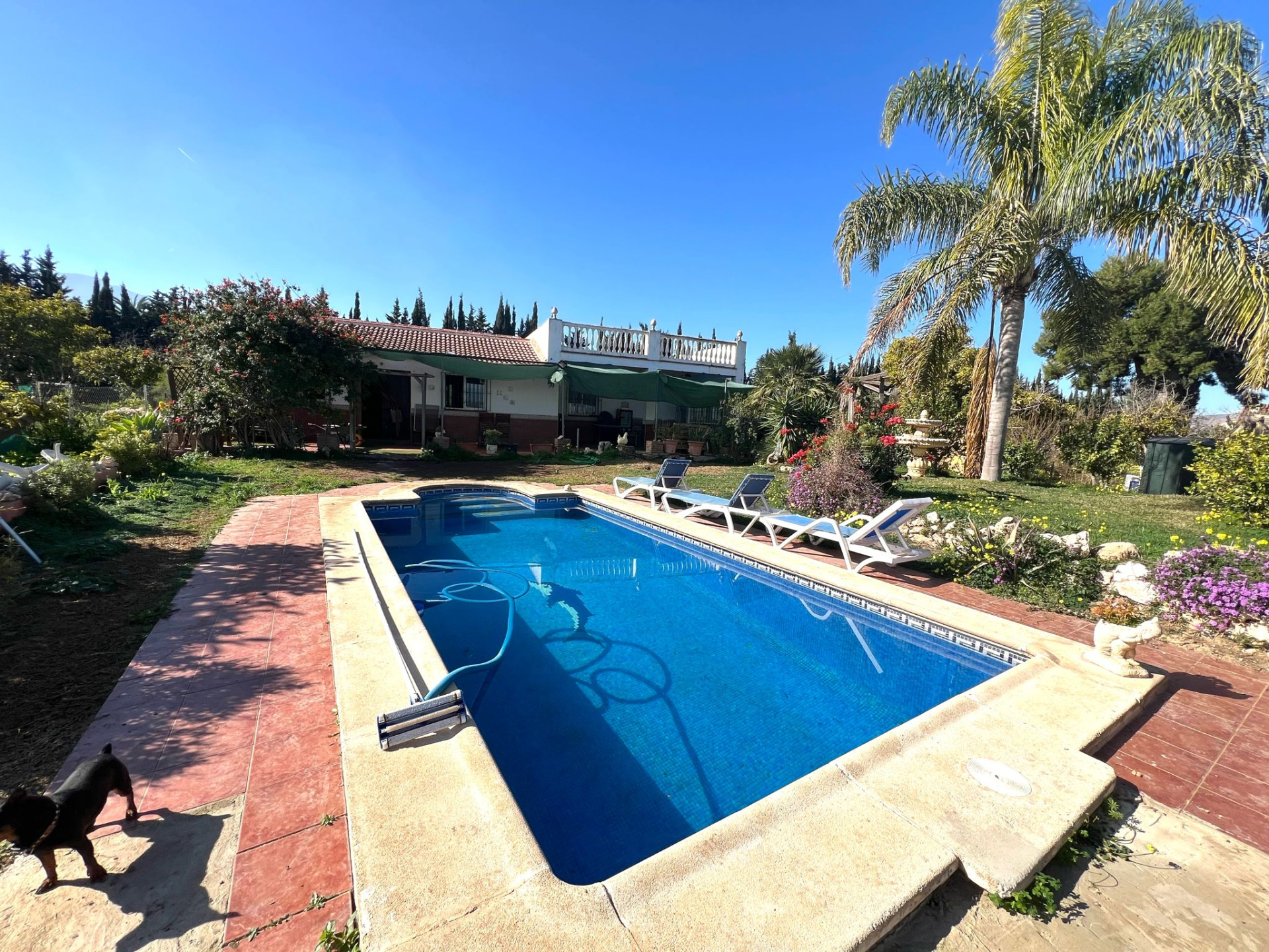 3 Bedroom Country house in Alhaurín de la Torre - Photo 2