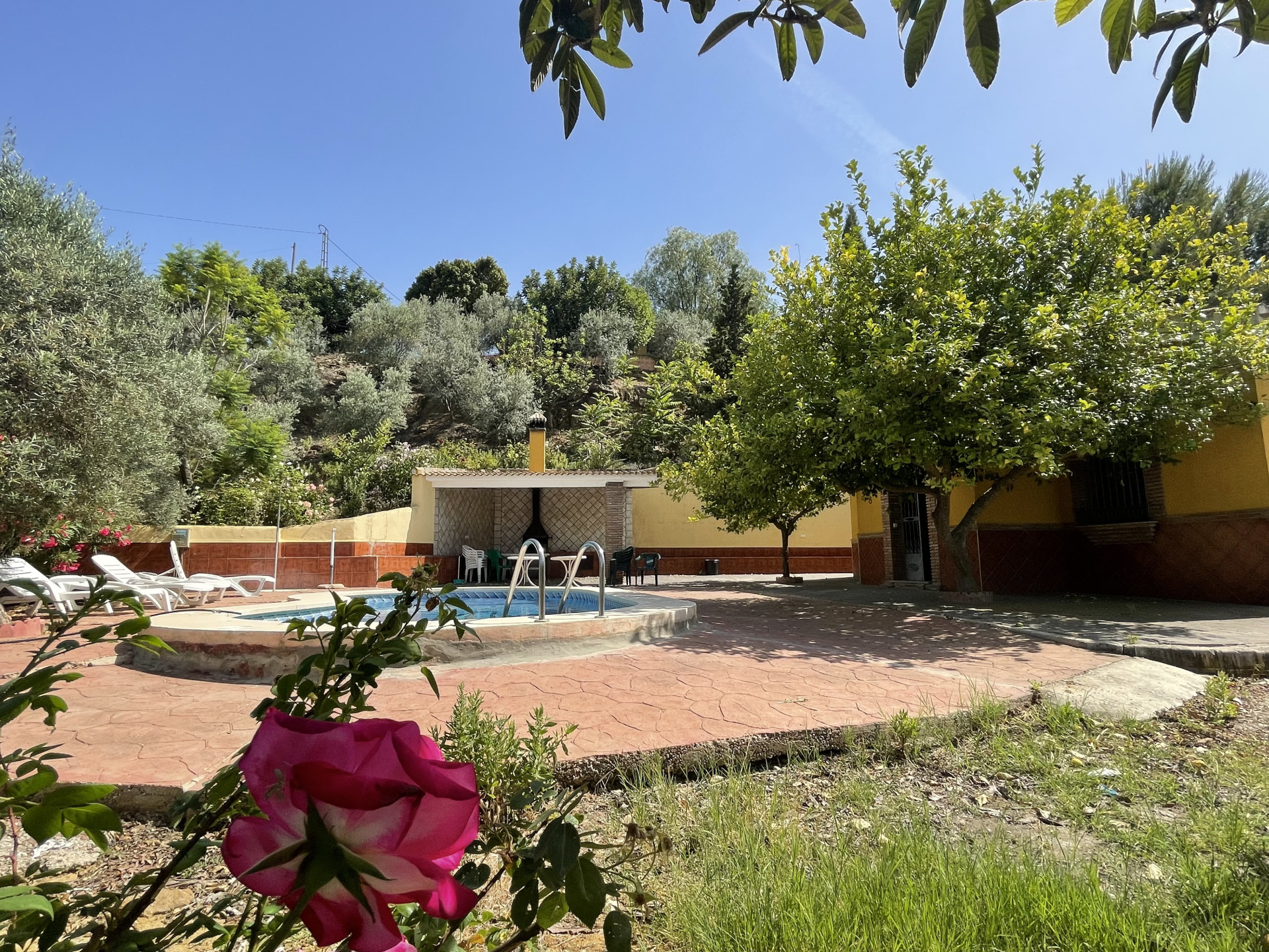 14 Bedroom Country house in Villanueva de la Concepción - Photo 32