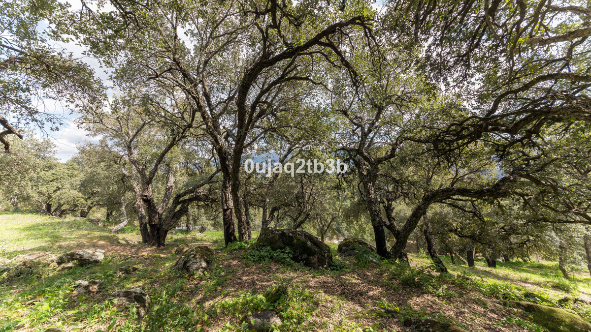 3 Bedroom Country house in Cortes de la Frontera - Foto 22