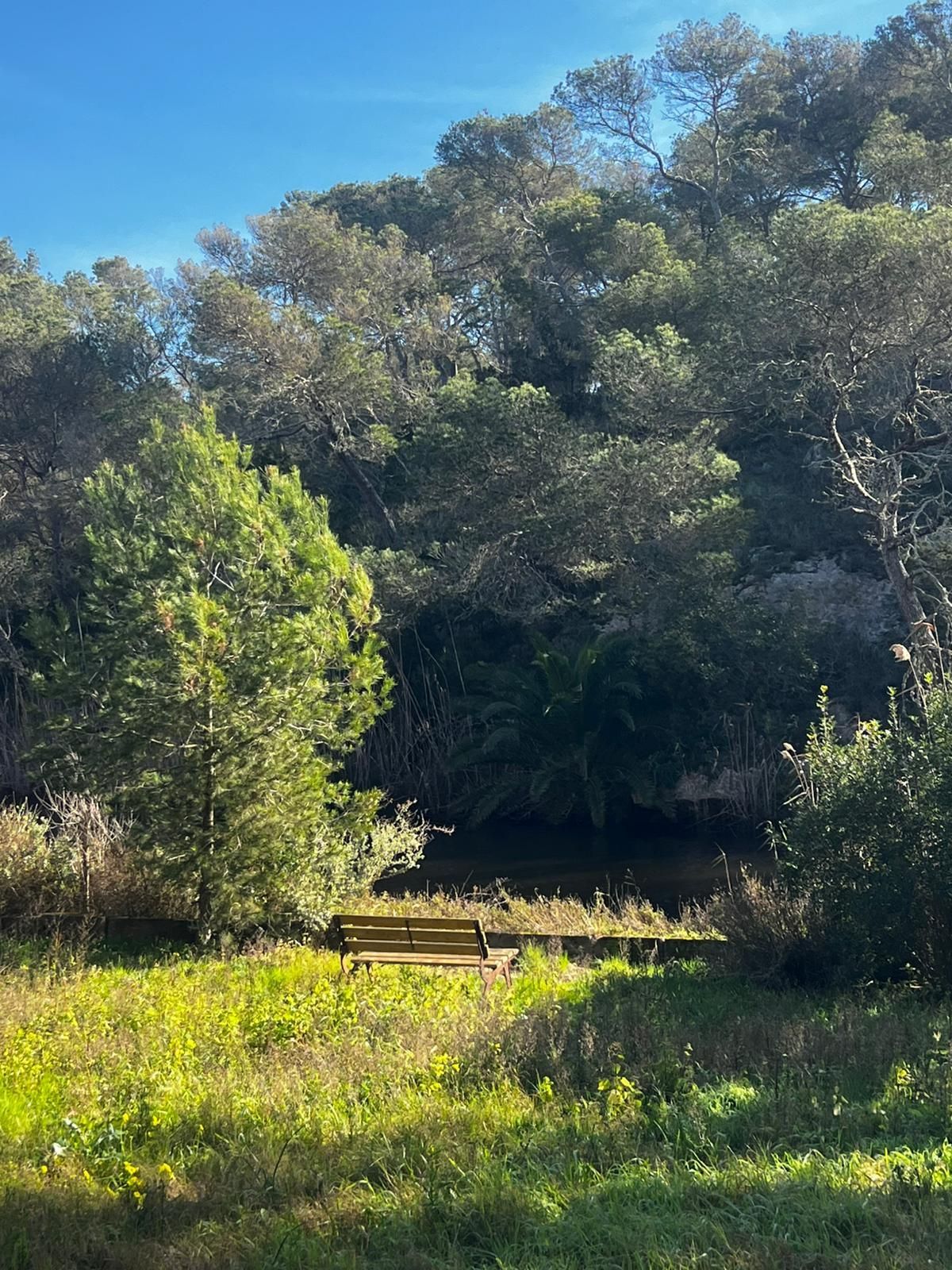 Chalet de 3 dormitorios en Baleares – Foto 23