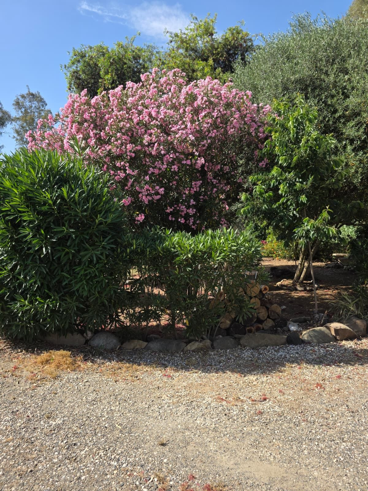 4 Bedroom Country house in Guaro - Photo 9