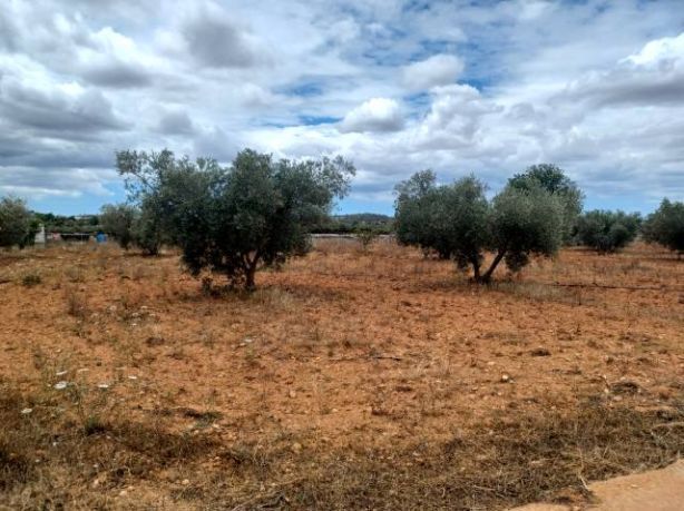Moradia com 3 quartos com piscina em Baleares, Espanha – Foto 3