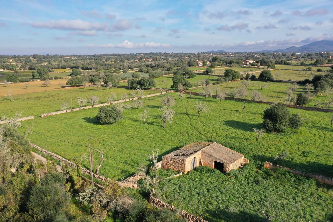 Country house in Felanitx