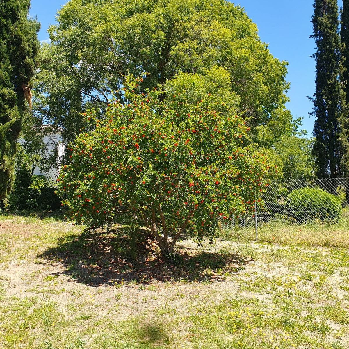 Chalet de 4 dormitorios en Granada – Foto 28