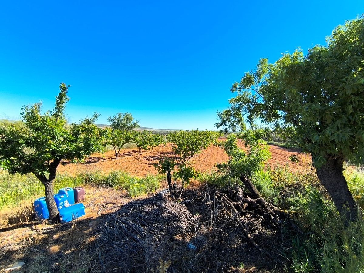 Villa de 4 chambres à Murcie, Espagne – Photo 18