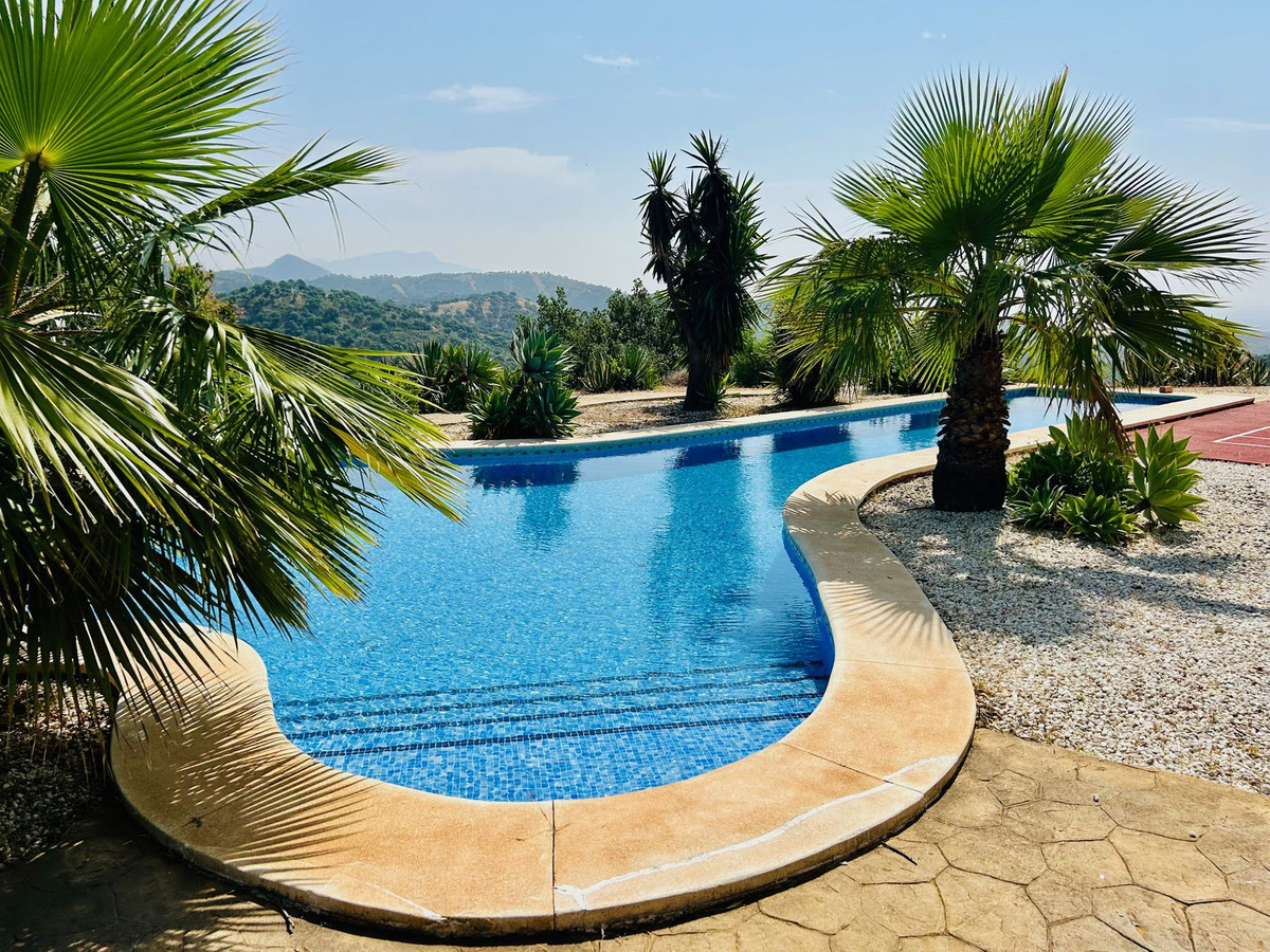 7 Bedroom Villa in Estepona - Photo 39