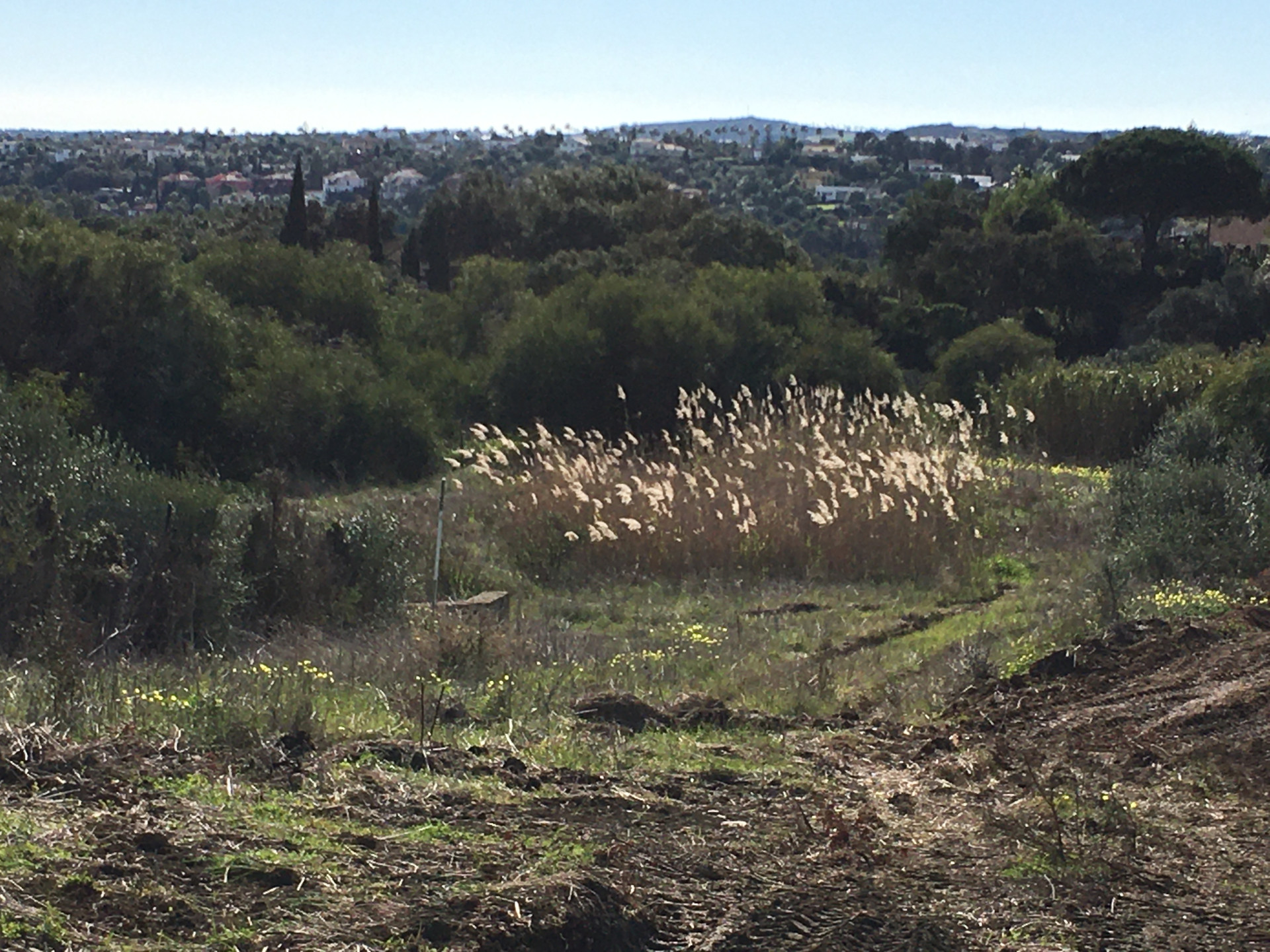 3,376 m² Plot in Sotogrande - Photo 4