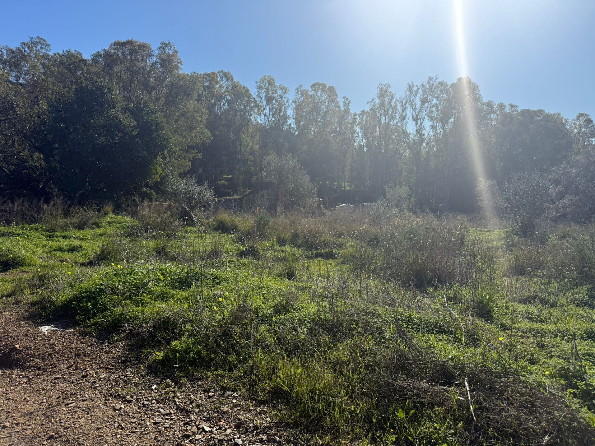 90,882 m² Plot in Mijas - Photo 4