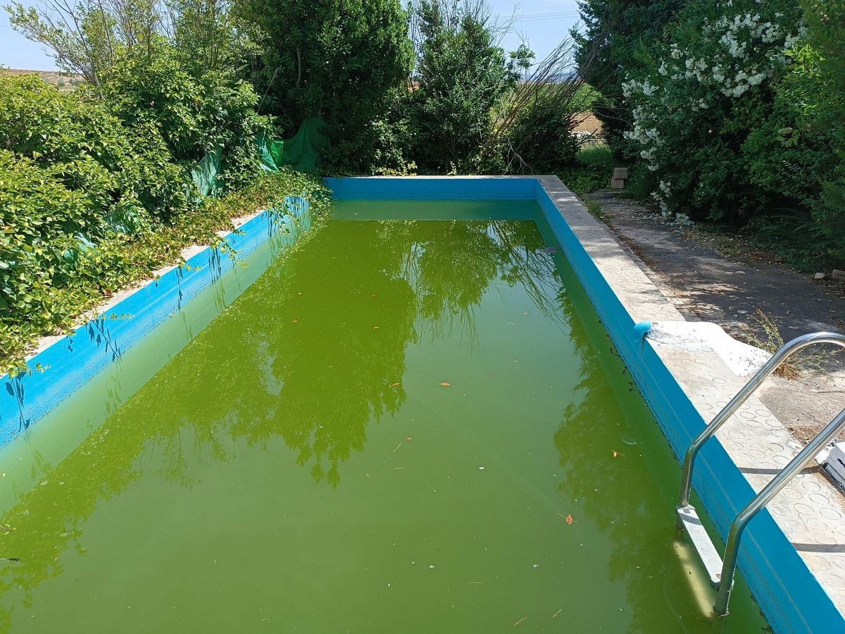 Moradia com 5 quartos com piscina em Múrcia, Espanha – Foto 6