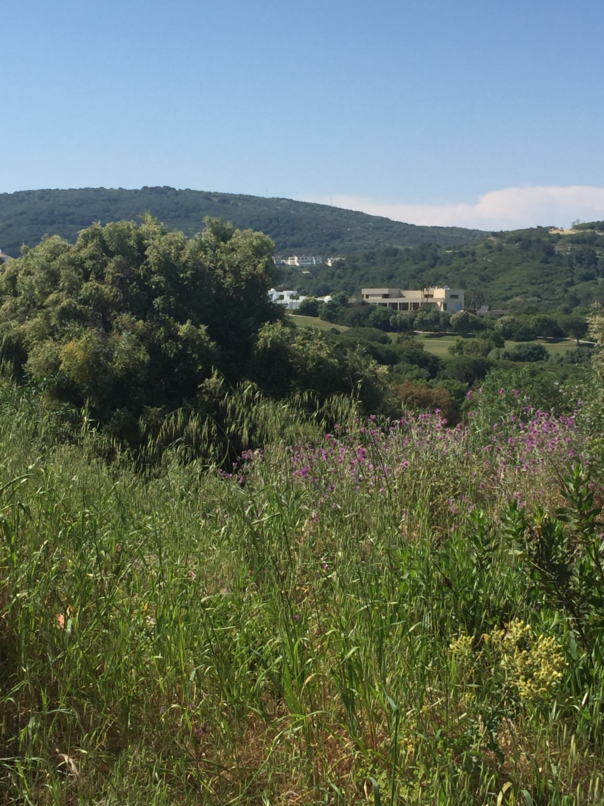 2,688 m² Plot in Sotogrande - Photo 4