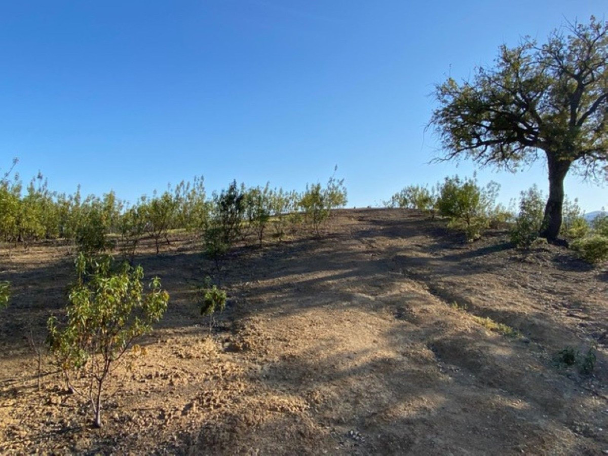 12,563 m² Plot in Benahavís - Photo 2