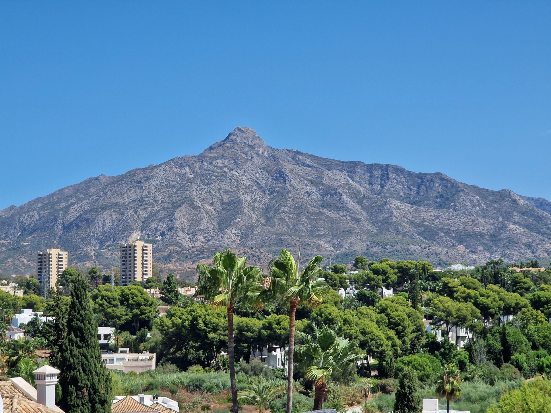 1 Bedroom Apartment in Marbella - Photo 8
