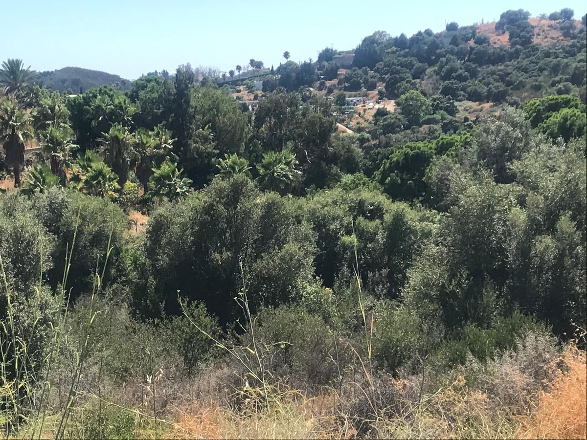 27,265 m² Plot in Estepona - Photo 6