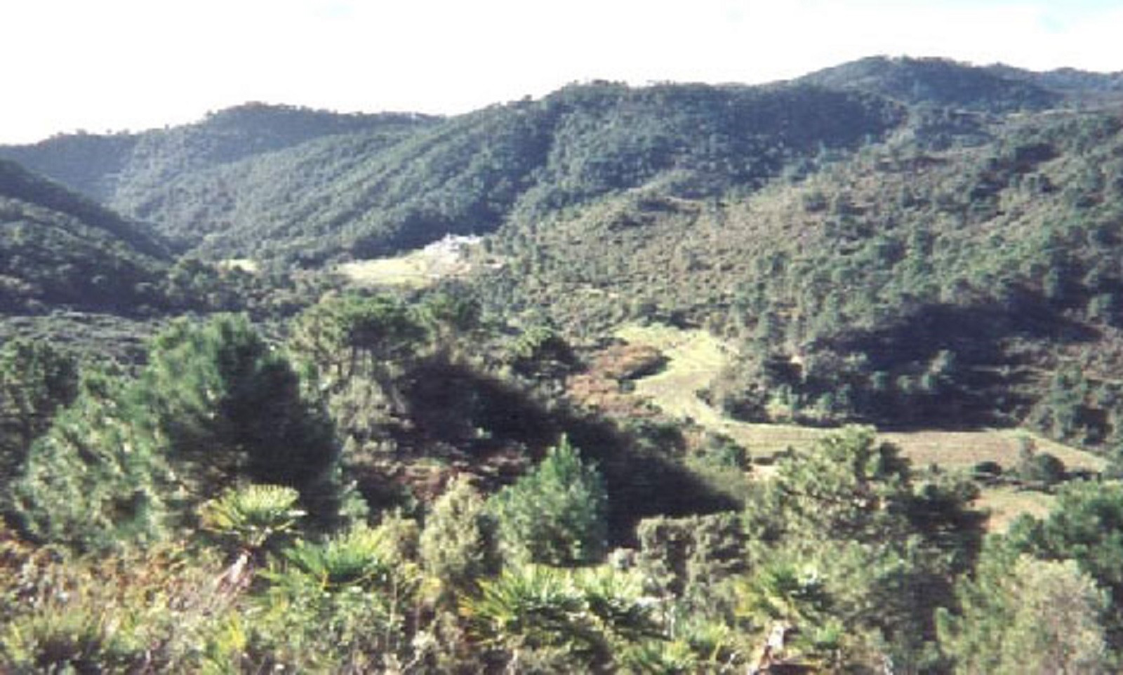 95,000 m² Plot in Estepona - Photo 3