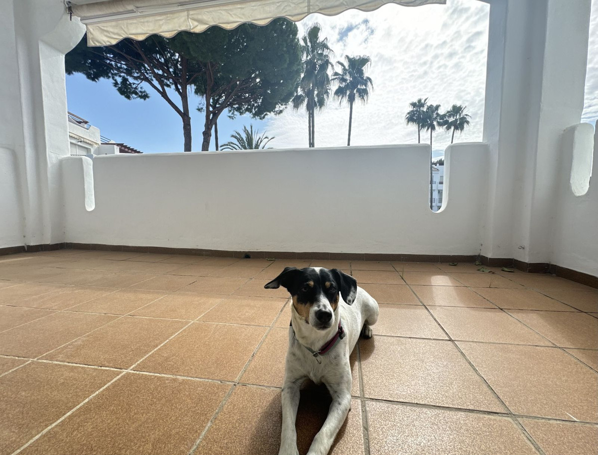 3 Bedroom Apartment in Estepona - Photo 18