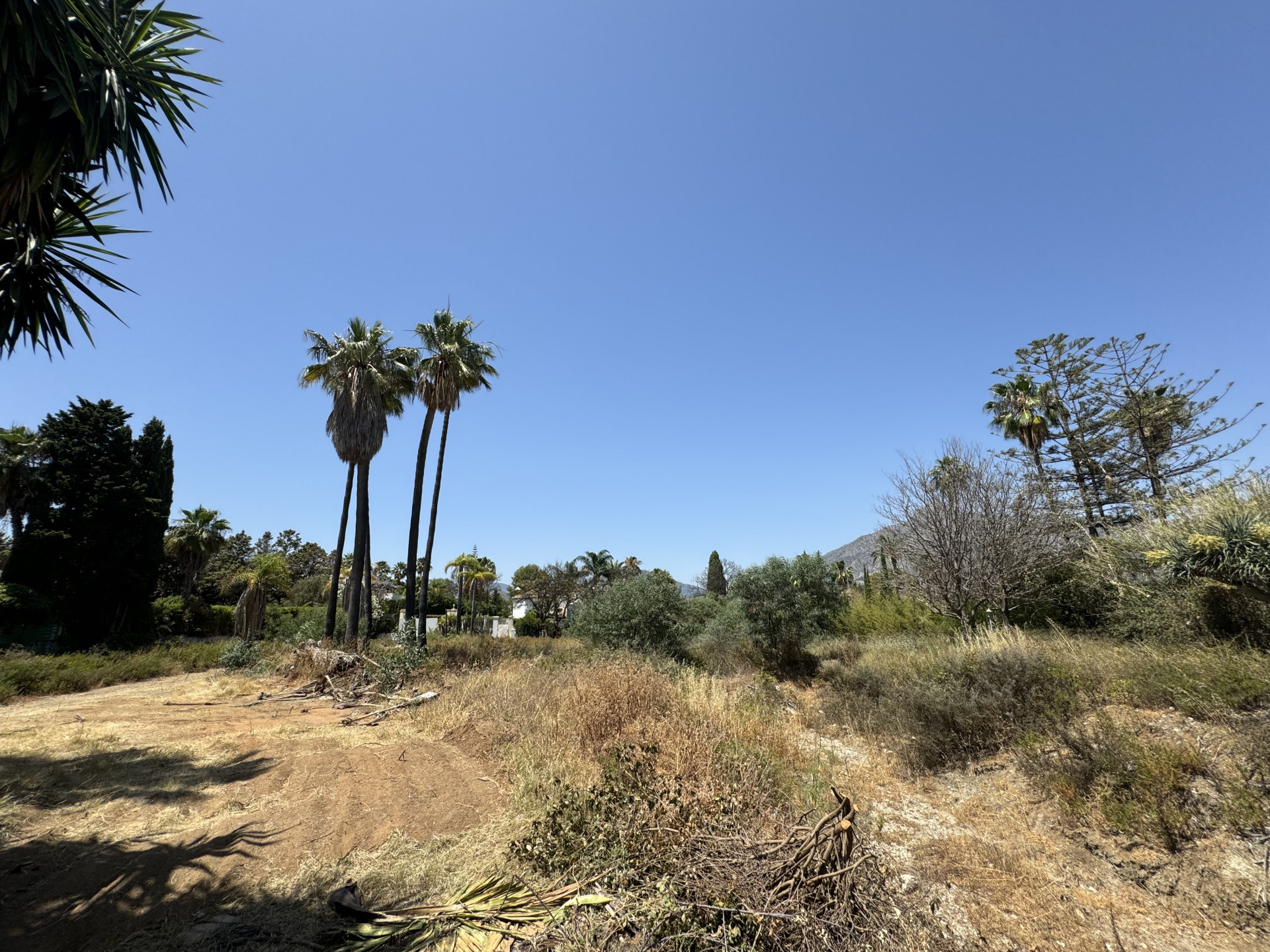 3,607 m² Plot in Marbella - Photo 6