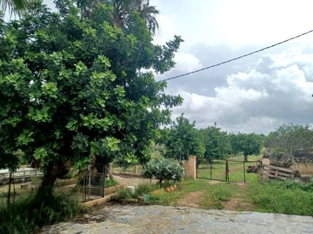 Moradia com 5 quartos com piscina em Baleares, Espanha – Foto 5