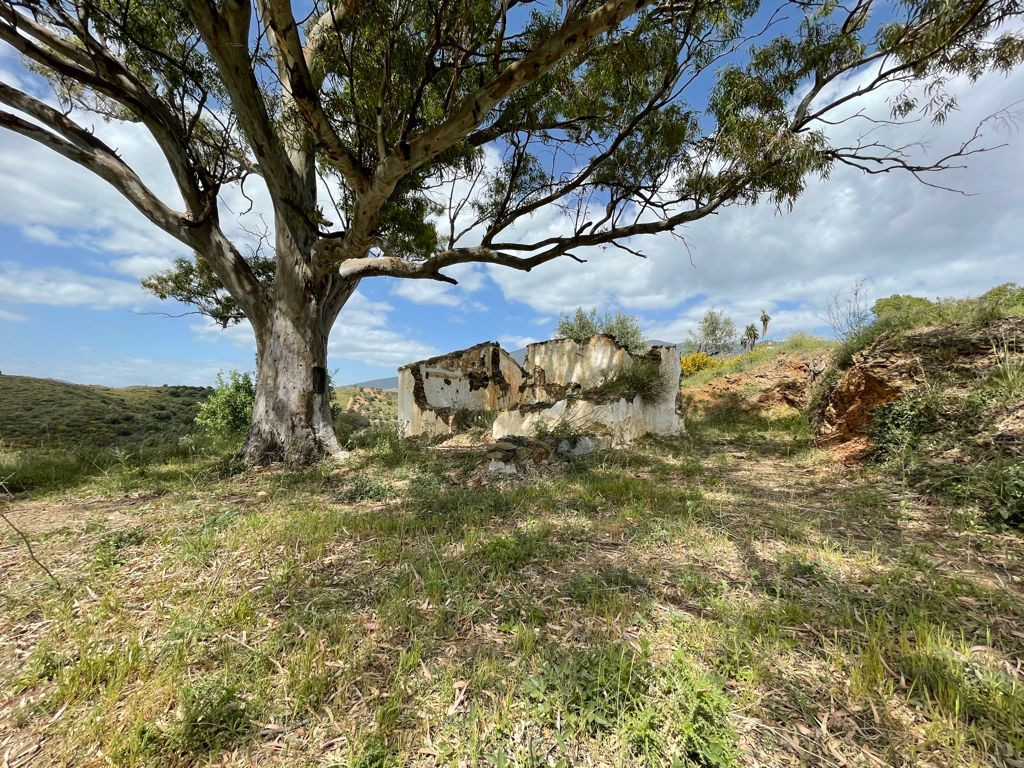 11,590 m² Plot in Mijas - Photo 2