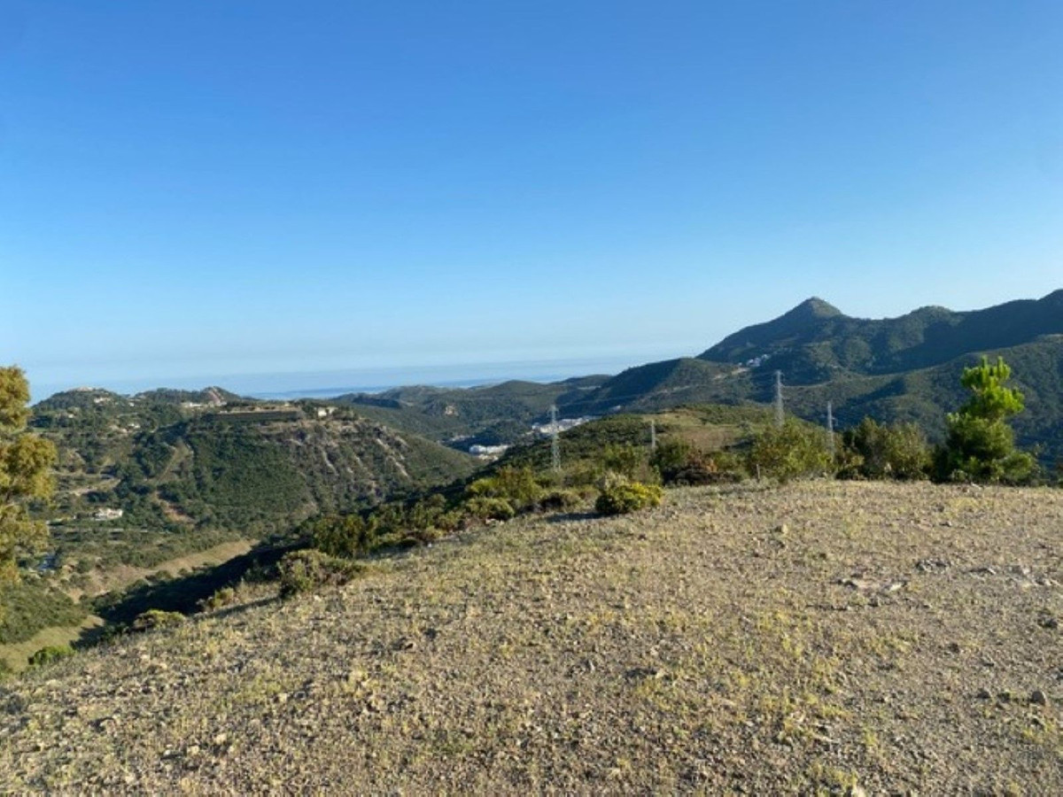 12,563 m² Plot in Benahavís - Photo 10