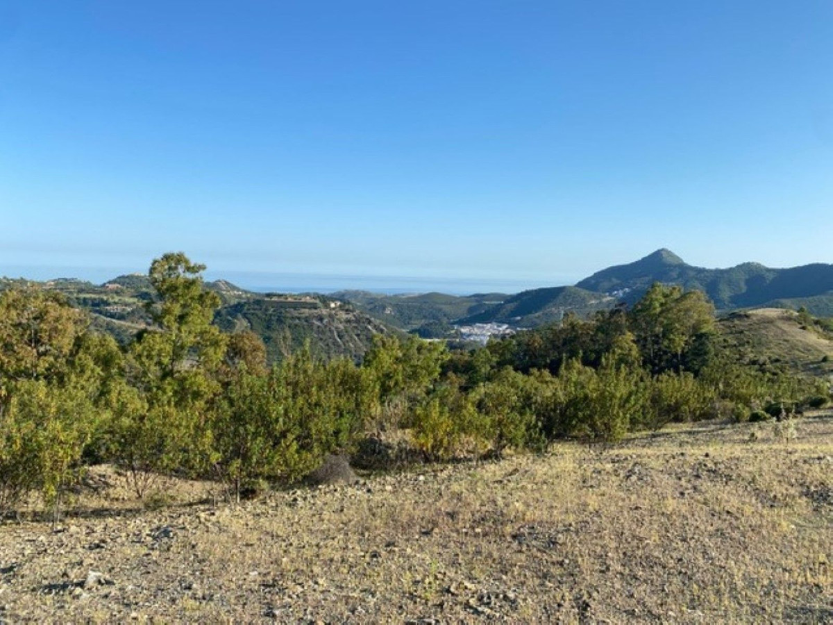 12,563 m² Plot in Benahavís - Photo 14