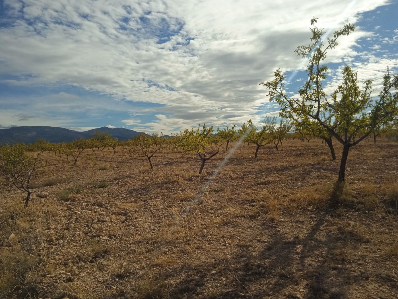 Villa de 3 chambres à Granada, Espagne – Photo 24