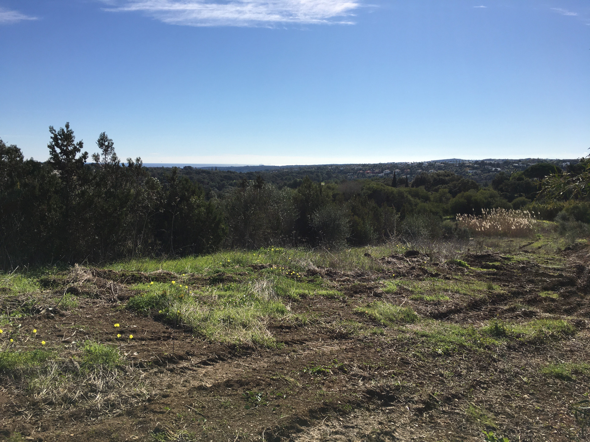 3,376 m² Plot in Sotogrande - Photo 15