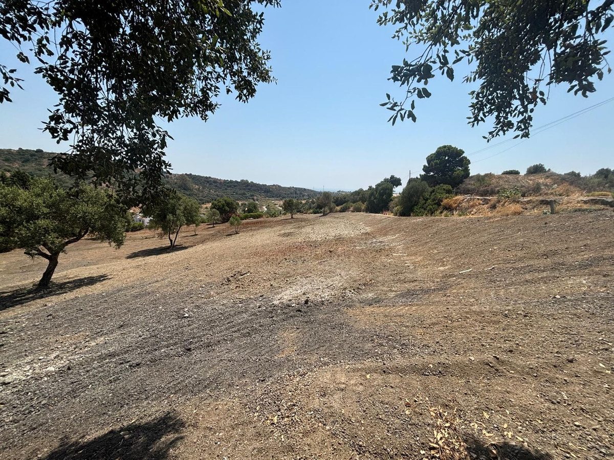8,900 m² Plot in Estepona - Photo 6