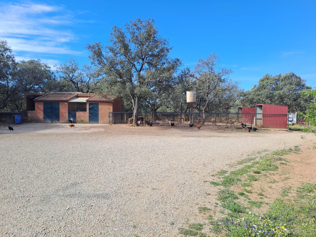 Moradia com 3 quartos com piscina em Huelva, Espanha – Foto 24