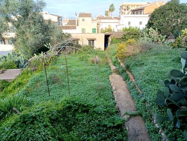 Villa con 1 camera con piscina a Baleari, Spagna – Foto 10