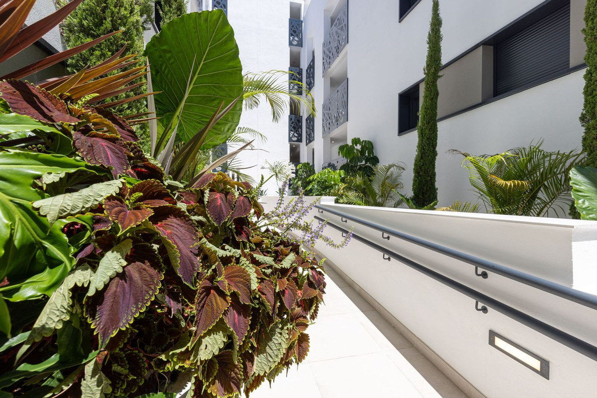 3 Bedroom Apartment in Estepona - Photo 41