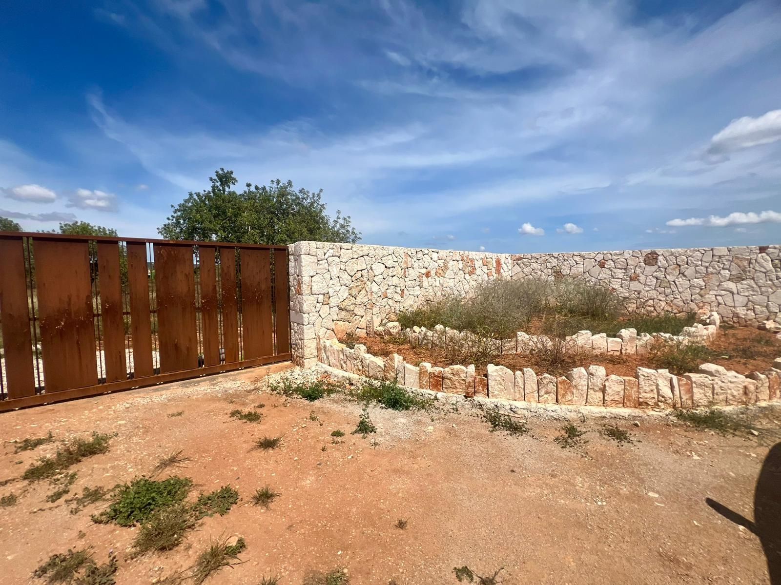 Plot in Campos